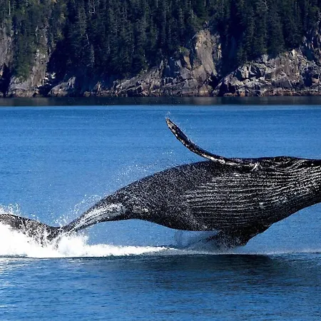 Casa Mariuccia A Due Passi Dal Mare * Finale Ligure