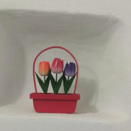 Apartamento Casa Mariuccia A Due Passi Dal Mare *