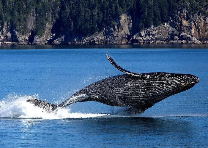 Casa Mariuccia A Due Passi Dal Mare * Finale Ligure